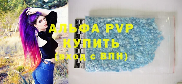 шишки Арсеньев
