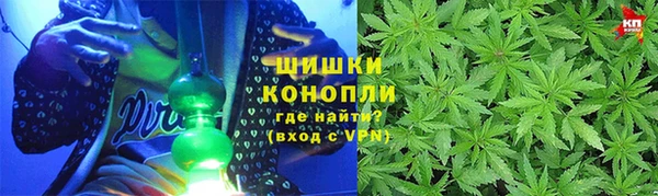 шишки Арсеньев