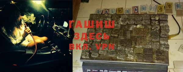 шишки Арсеньев