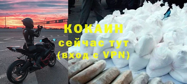 шишки Арсеньев
