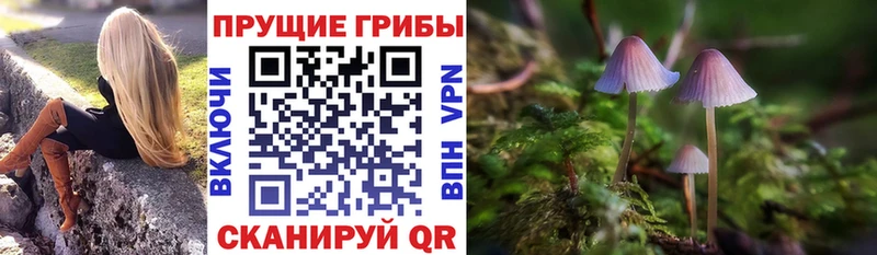 shop телеграм  Армянск  Галлюциногенные грибы GOLDEN TEACHER 